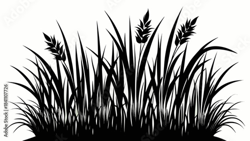 green grass on white background