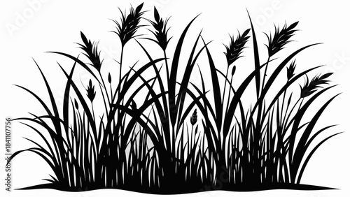 green grass on white background