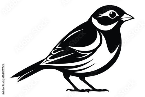 finch silhouette line art vector illustration with a white background