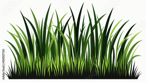 green grass on white background