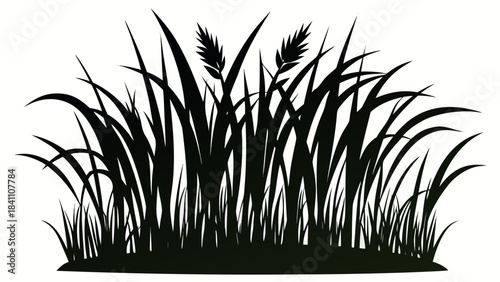 green grass on white background