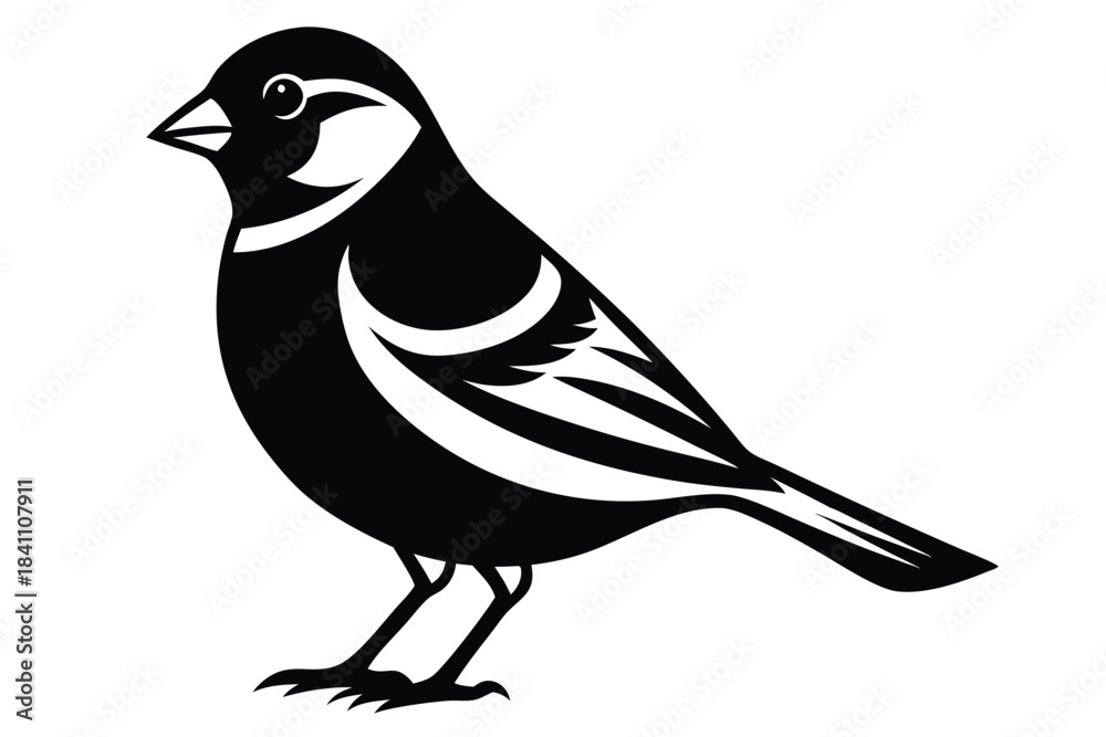 Obraz premium finch silhouette line art vector illustration with a white background