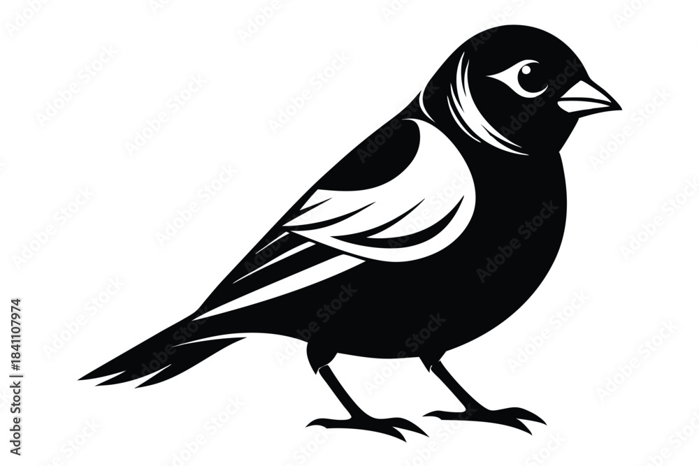 Obraz premium finch silhouette line art vector illustration with a white background