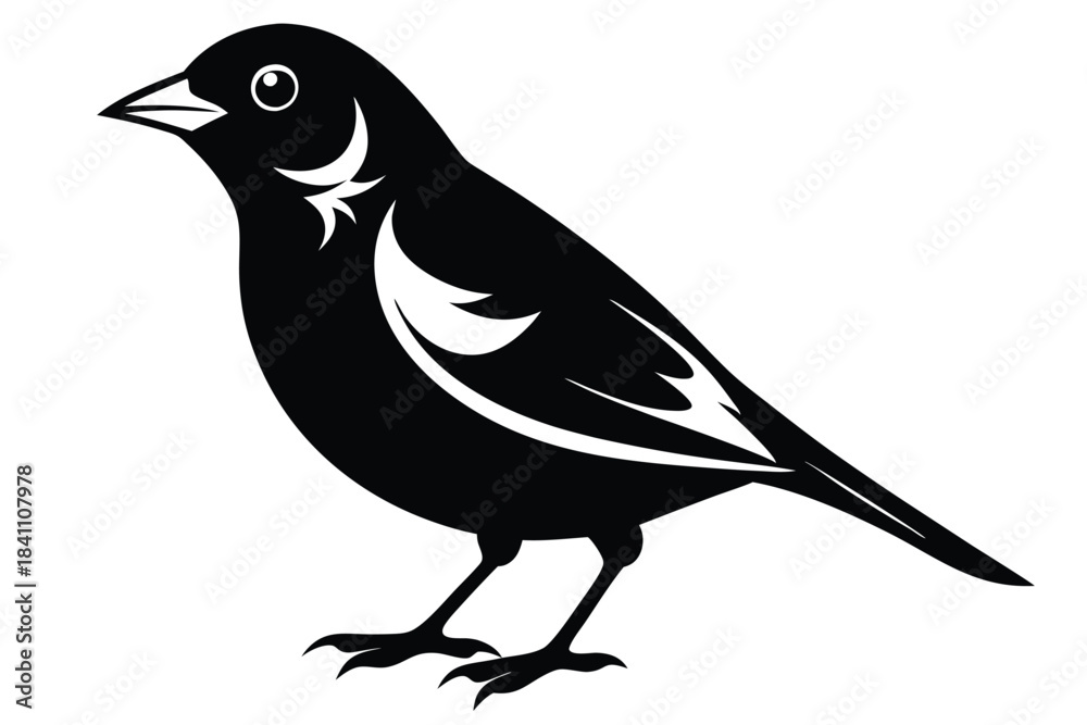 Obraz premium finch silhouette line art vector illustration with a white background