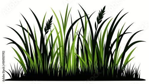 green grass on white background