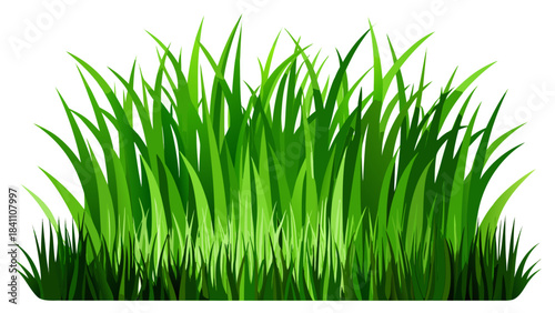 green grass on white background