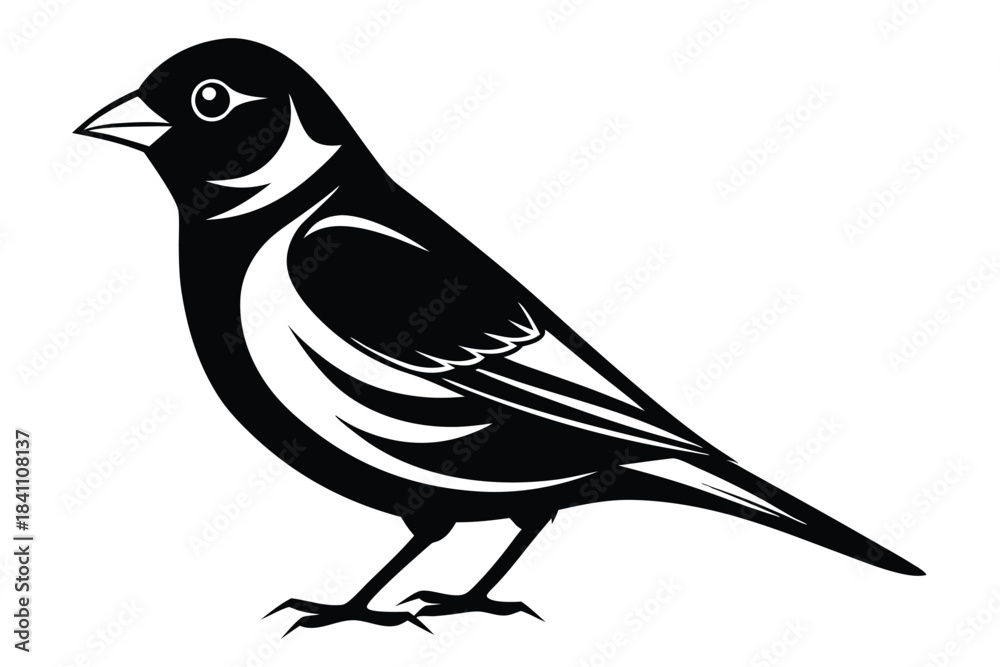 Obraz premium finch silhouette line art vector illustration with a white background