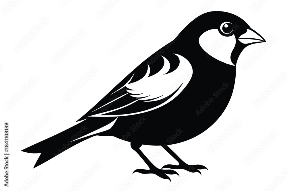 Obraz premium finch silhouette line art vector illustration with a white background