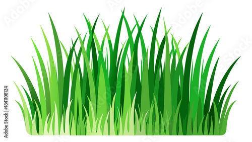 green grass on white background