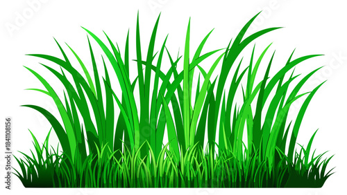 green grass on white background