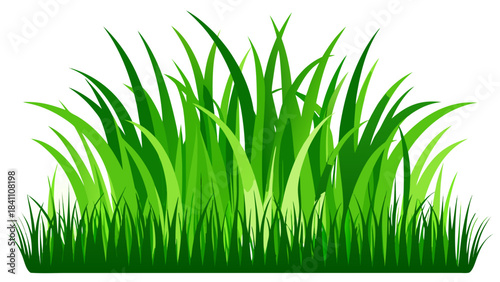 green grass on white background