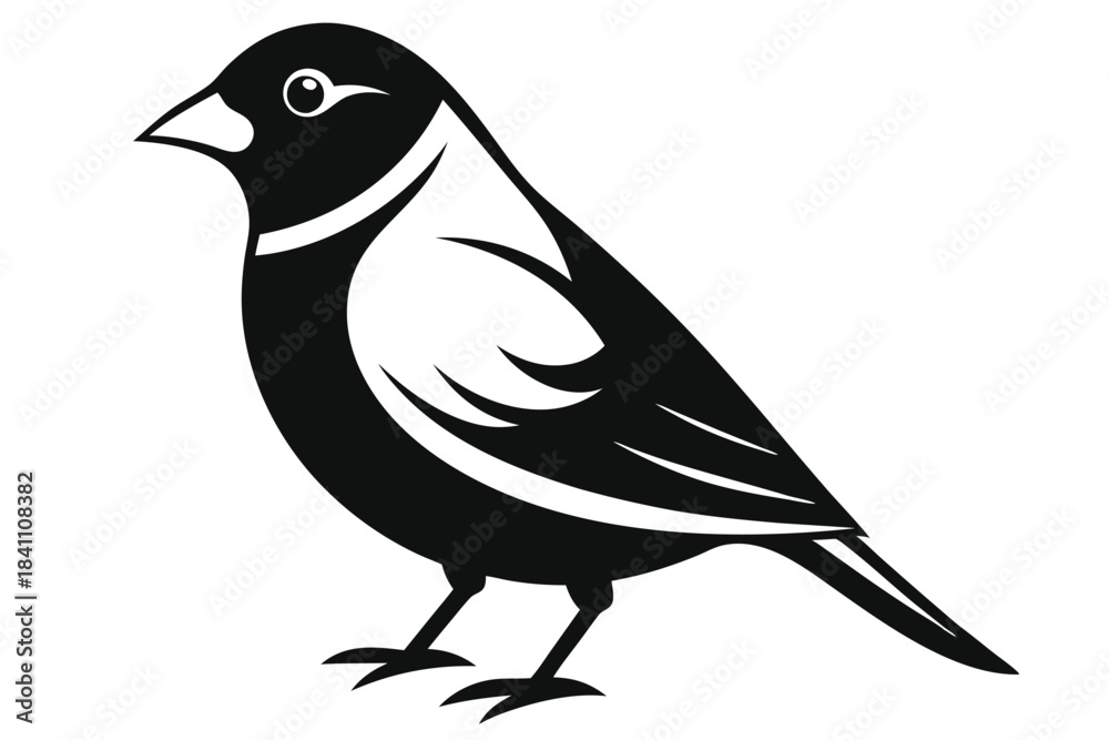 Obraz premium finch silhouette line art vector illustration with a white background