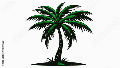 silhouette of palm tree