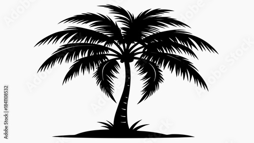 silhouette of palm tree