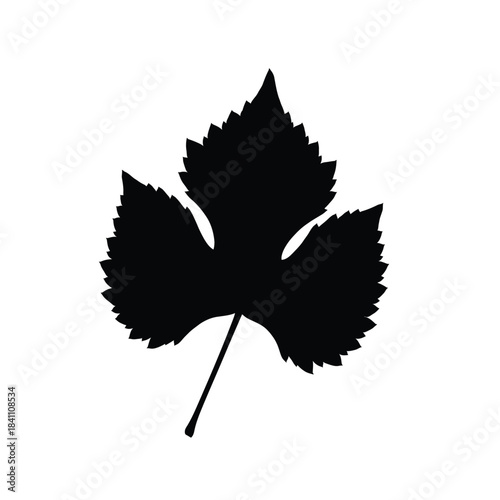 Single Simple Vine Leaf Black and White Graphic