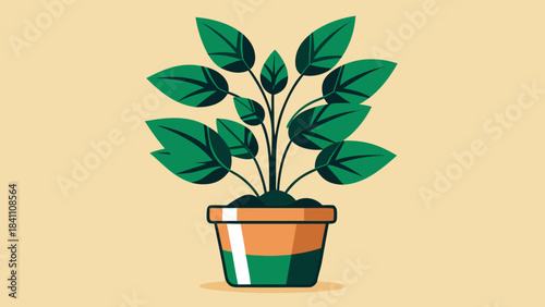 green plant in a pot