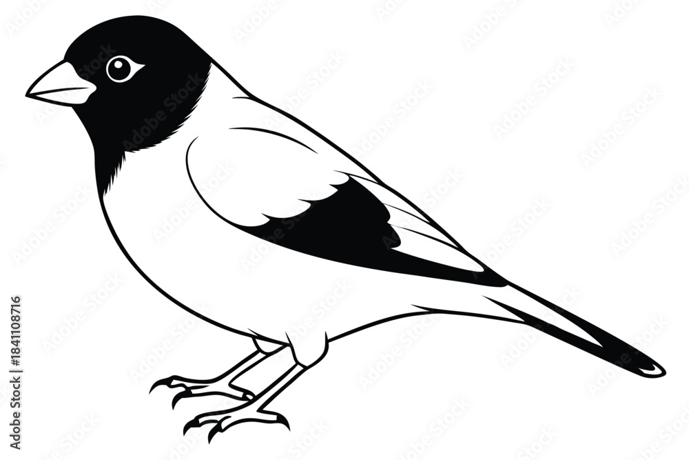 Obraz premium finch silhouette line art vector illustration with a white background