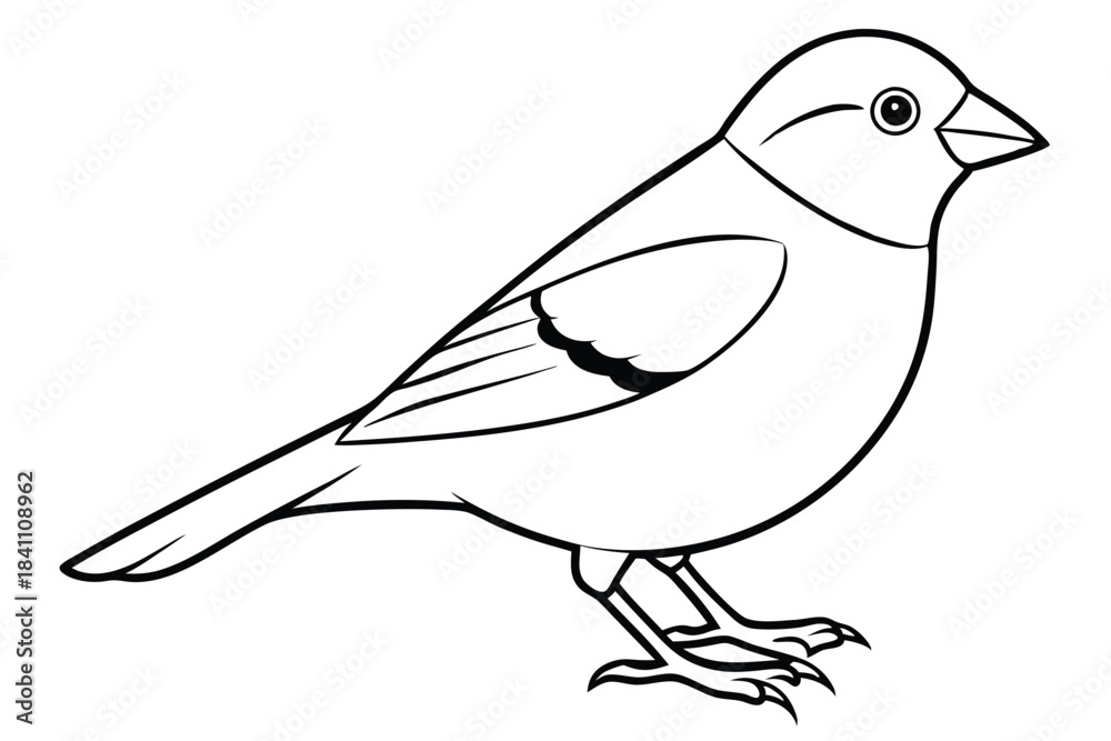 Obraz premium finch silhouette line art vector illustration with a white background