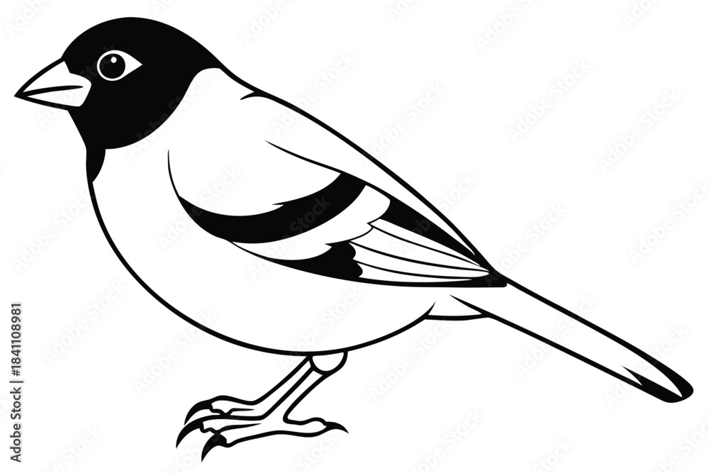 Obraz premium finch silhouette line art vector illustration with a white background