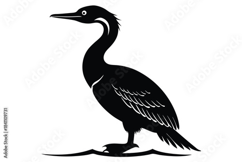 Фотография cormorant silhouette line art vector illustration with a white background