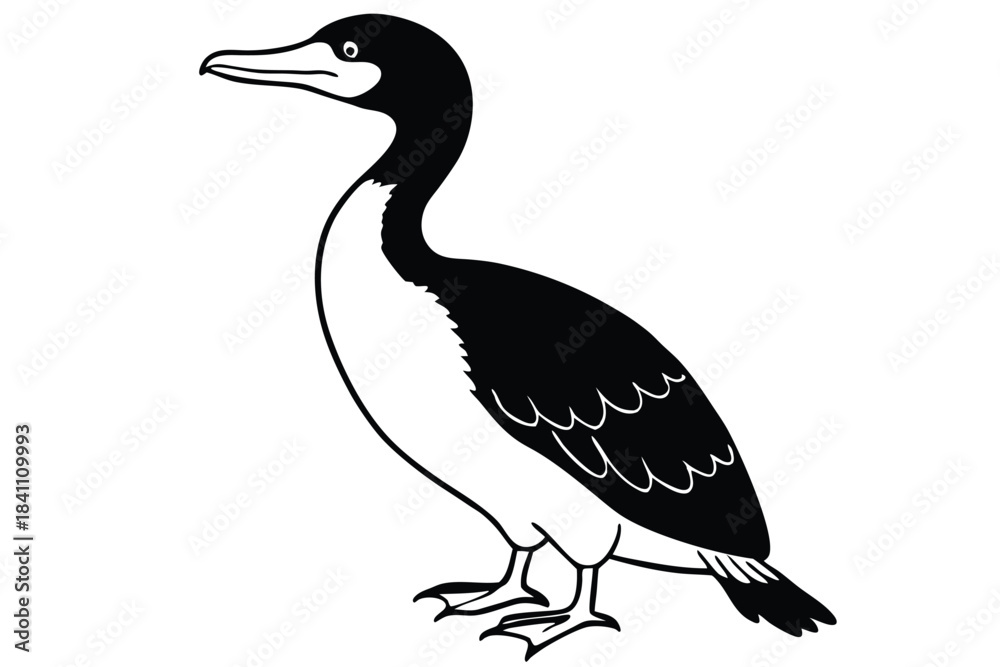 Fototapeta premium cormorant silhouette line art vector illustration with a white background