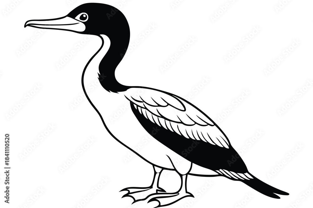 Fototapeta premium cormorant silhouette line art vector illustration with a white background
