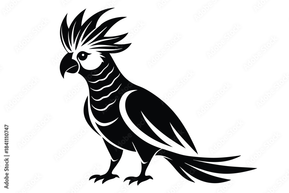 Obraz premium cockatoo silhouette line art vector illustration with a white background
