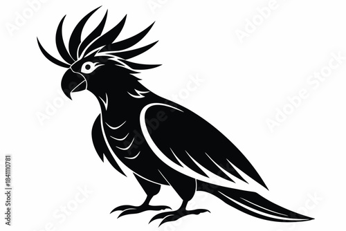 cockatoo silhouette line art vector illustration with a white background