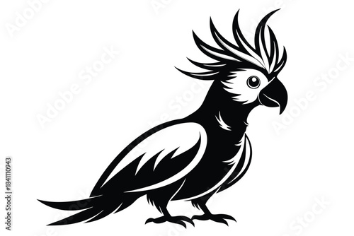cockatoo silhouette line art vector illustration with a white background