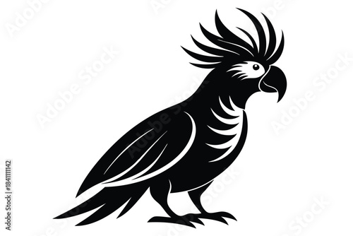 cockatoo silhouette line art vector illustration with a white background