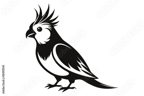 cockatiel silhouette line art vector illustration with a white background