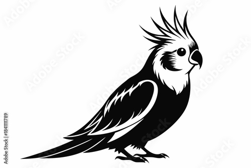 cockatiel silhouette line art vector illustration with a white background