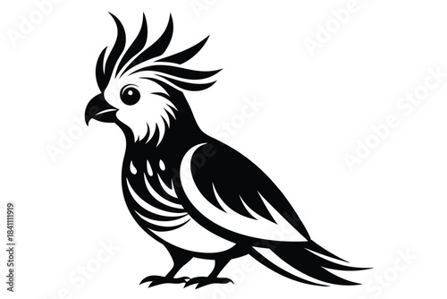 cockatiel silhouette line art vector illustration with a white background
