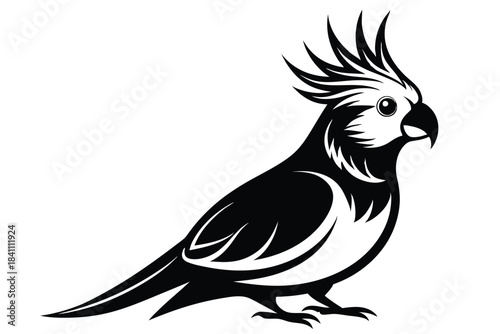 cockatiel silhouette line art vector illustration with a white background