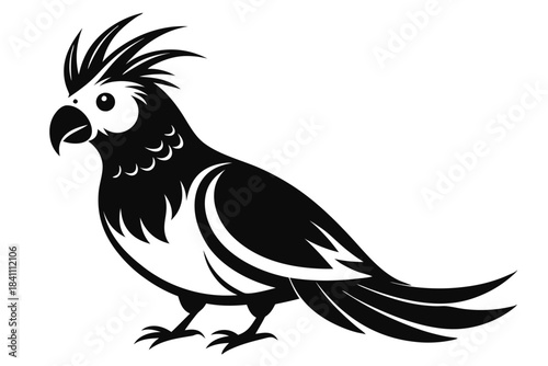 cockatiel silhouette line art vector illustration with a white background