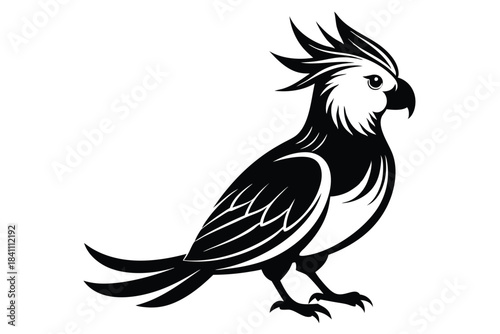 cockatiel silhouette line art vector illustration with a white background