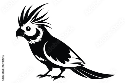 cockatiel silhouette line art vector illustration with a white background