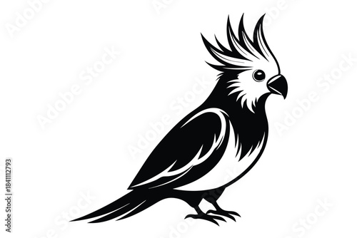 cockatiel silhouette line art vector illustration with a white background