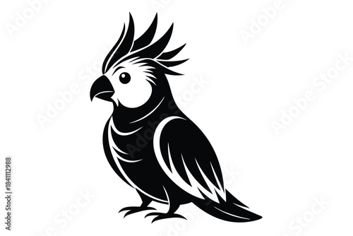 cockatiel silhouette line art vector illustration with a white background