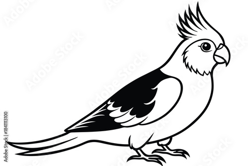 cockatiel silhouette line art vector illustration with a white background