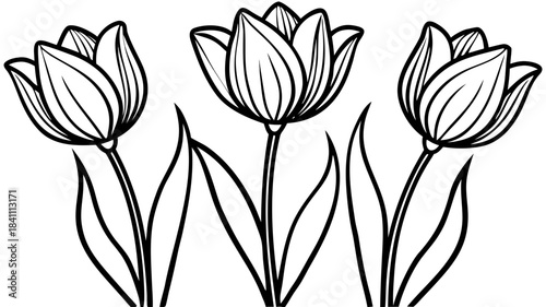 Very beautiful minimalist one-line illustration of three elegant tulips on slender stems, creating a clean floral composition ideal for modern vector projects, branding designs, wedding graphics, and 