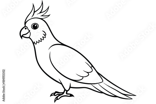 cockatiel silhouette line art vector illustration with a white background