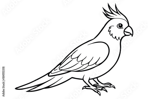 cockatiel silhouette line art vector illustration with a white background