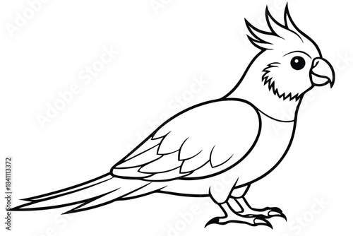 cockatiel silhouette line art vector illustration with a white background