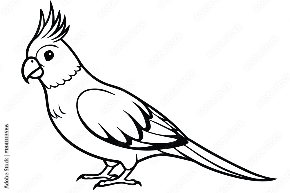 Obraz premium cockatiel silhouette line art vector illustration with a white background