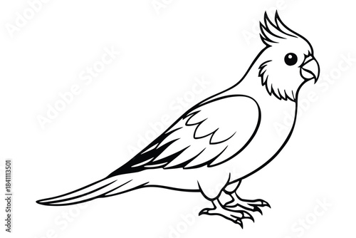 cockatiel silhouette line art vector illustration with a white background