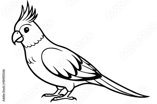 cockatiel silhouette line art vector illustration with a white background