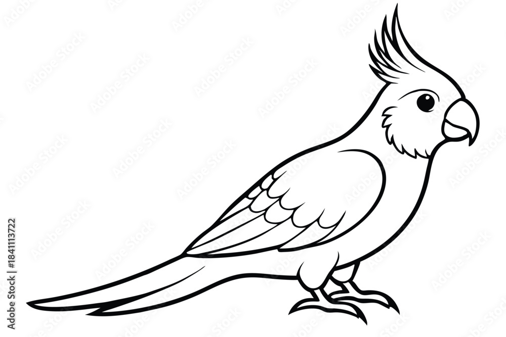 Fototapeta premium cockatiel silhouette line art vector illustration with a white background