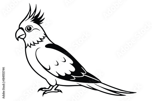 cockatiel silhouette line art vector illustration with a white background