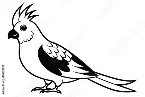 cockatiel silhouette line art vector illustration with a white background